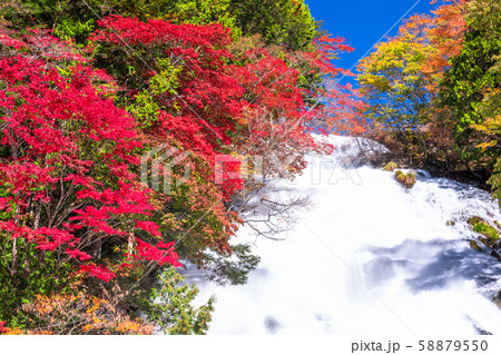 《栃木県》秋の奥日光・湯滝 《栃木県》秋の奥日光・湯滝 58879550