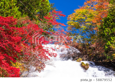 《栃木県》秋の奥日光・湯滝 《栃木県》秋の奥日光・湯滝 58879552
