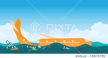 A passenger plane crashed on the beach. 58879796