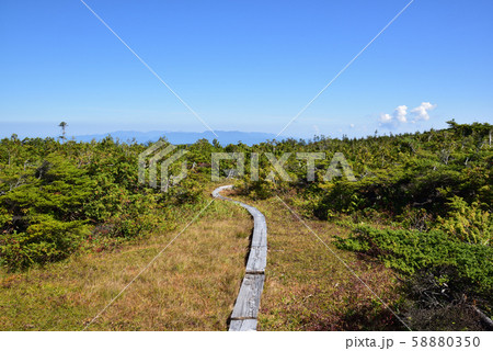 田代山・帝釈山 58880350