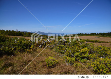 田代山・帝釈山 58880357