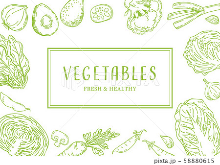 野菜の手描きイラスト フレームのイラスト素材