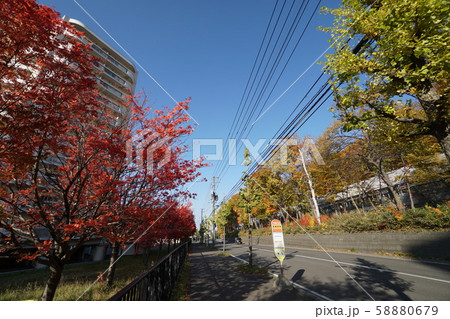 札幌　平岸通の街風景（真駒内上町5丁目、五輪団地付近） 58880679