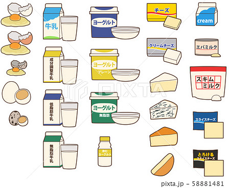 24種類の乳類・卵製品を並べた主線なしイラスト 58881481