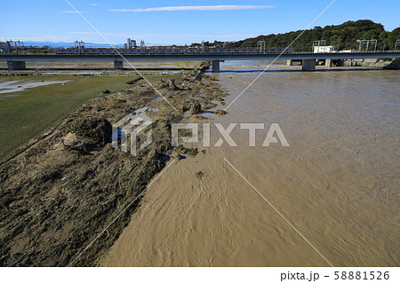 令和元年台風19号多摩川　丸子橋 58881526
