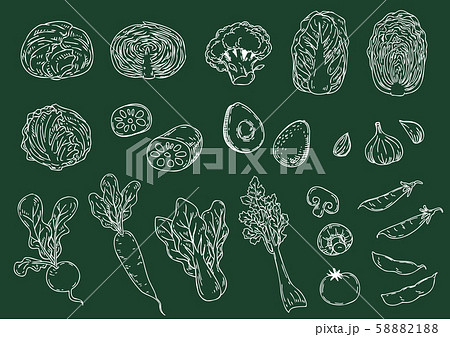 野菜の手描きイラストセット 58882188