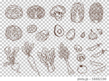 野菜の手描きイラストセット 58882190
