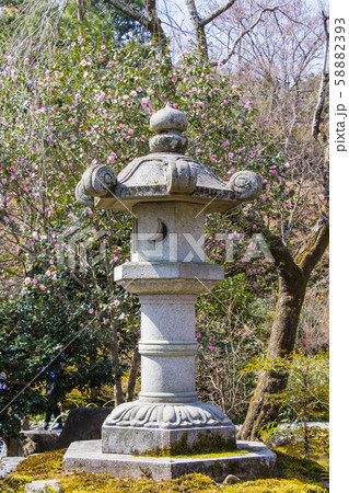 Stone lantern in Japanese botanical zen Tenryuji Sogenchi garden. during cherry (sakura) blossom time are going to bloom in Kyoto. 58882393