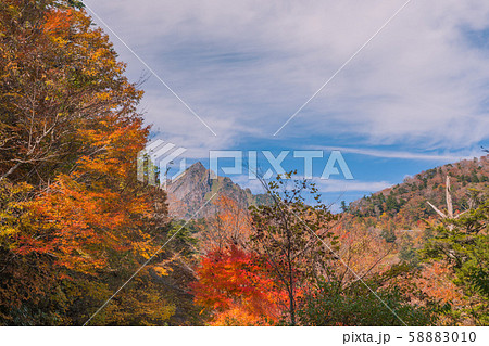 石鎚スカイラインの紅葉！ 58883010
