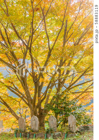 紅葉と路傍の石地蔵 紅葉と路傍の石地蔵 58883119