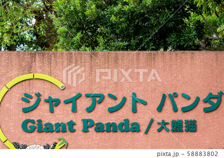 ジャンアントパンダ　案内 58883802