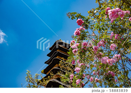 インドネシア　バリ島　湖畔のウルン・ダヌ・ブラタン寺院 58883839