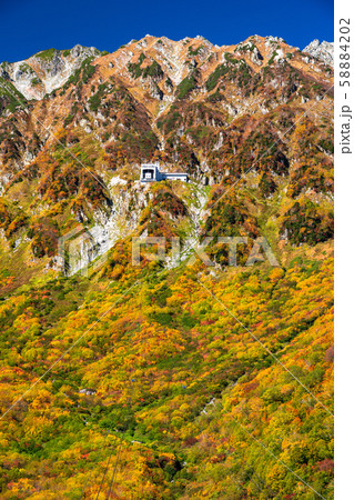 《富山県》紅葉の黒部平・立山黒部アルペンルート 《富山県》紅葉の黒部平・立山黒部アルペンルート 58884202