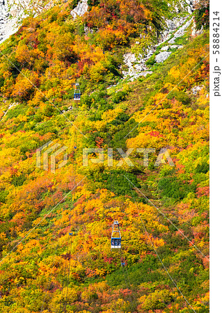 《富山県》紅葉の黒部平・立山黒部アルペンルート 58884214