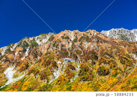 《富山県》紅葉の黒部平・立山黒部アルペンルート 58884233