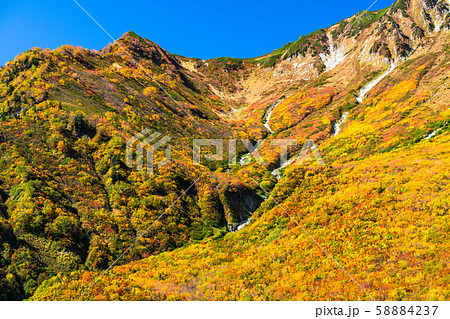 《富山県》紅葉の黒部平・立山黒部アルペンルート 58884237