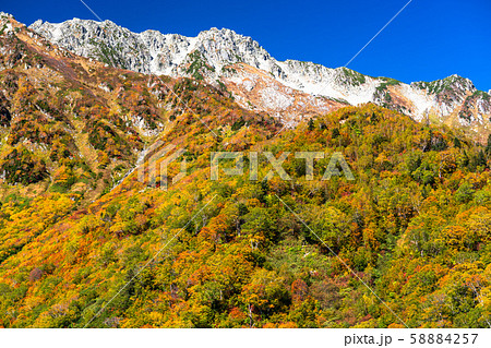 《富山県》紅葉の黒部平・立山黒部アルペンルート 58884257