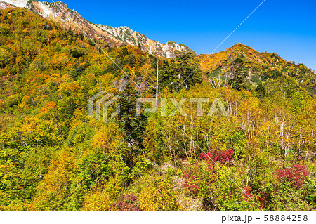 《富山県》紅葉の黒部平・立山黒部アルペンルート 《富山県》紅葉の黒部平・立山黒部アルペンルート 58884258