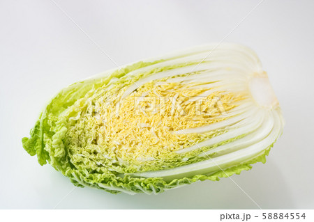 ベビー白菜・わわ菜 58884554