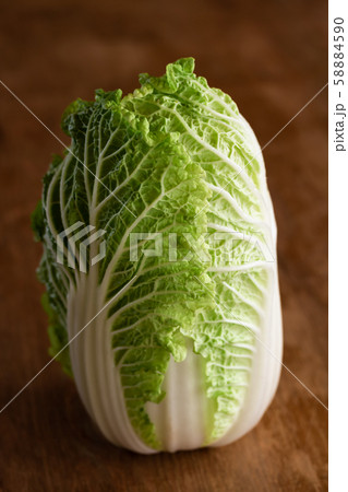 ベビー白菜・わわ菜 58884590