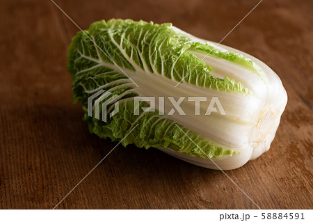 ベビー白菜・わわ菜 58884591