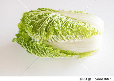 ベビー白菜・わわ菜 58884667