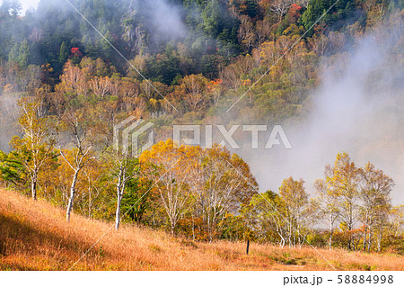 長野県 秋の志賀高原 田ノ原湿原の写真素材