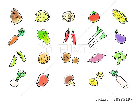 手描き 野菜 果物 セットイラストのイラスト素材
