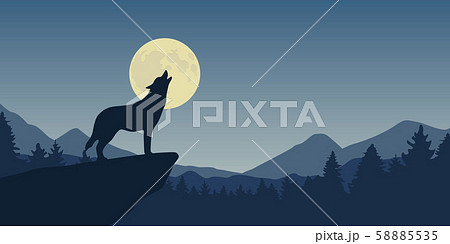 wolf howls at full moon blue nature landscape wolf howls at full moon blue nature landscape 58885535