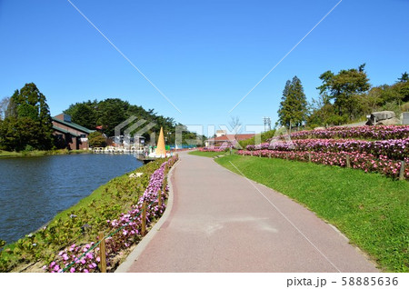 六甲山カンツリーハウス 58885636