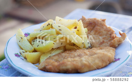 Wiener Schnitzel with French Fries. 58888292
