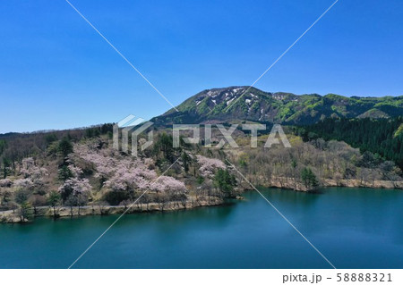 空撮素材 八塩いこいの森 空撮素材 八塩いこいの森 58888321