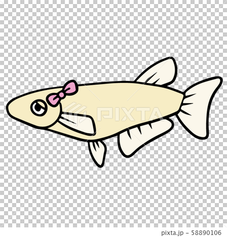 シンプルなメダカのイラスト(困り顔_メス) 58890106