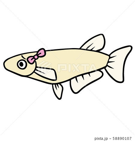 シンプルなメダカのイラスト(困り顔2_メス) 58890107