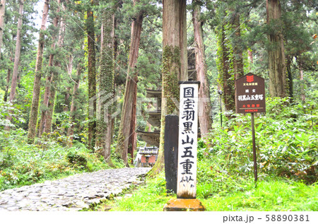 羽黒山の五重塔 羽黒山の五重塔 58890381