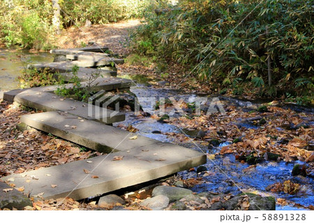 北海道の西岡公園の川に掛かっている八つ橋 紅葉シーズン 北海道の西岡公園の川に掛かっている八つ橋 紅葉シーズン 58891328
