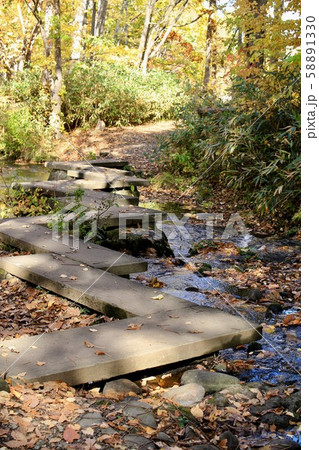 北海道の西岡公園の川に掛かっている八つ橋　紅葉シーズン 58891330