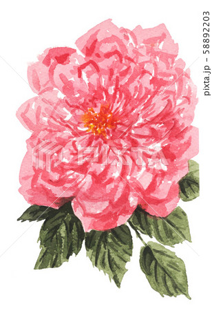 rose191025pix7 rose191025pix7 58892203