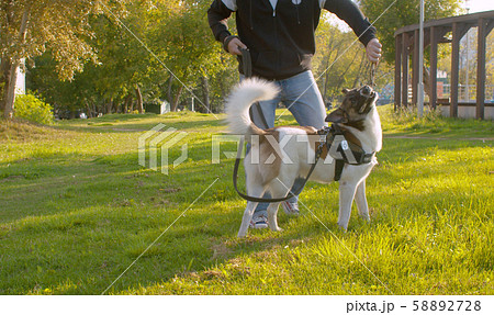 Man playing with the dog in the park 58892728