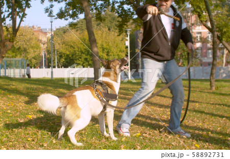 Man playing with the dog in the park Man playing with the dog in the park 58892731