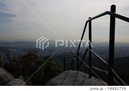 国立公園 北朝鮮産 松 58892759