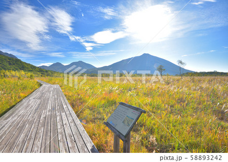 草紅葉の戦場ヶ原と秋空　 58893242
