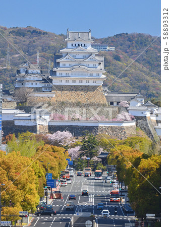 春の姫路城 春の姫路城 58893312
