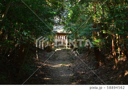 【大分県】大元八坂神社・境内 58894562