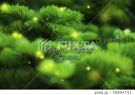 クリスマス xマス ｘマス 58894741