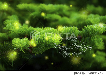 クリスマス xマス ｘマス 58894747