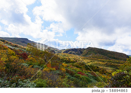 栗駒山の紅葉 58894863