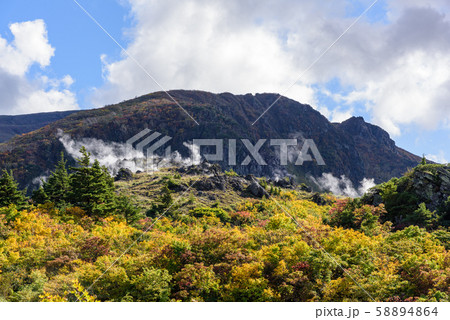 栗駒山の紅葉 58894864