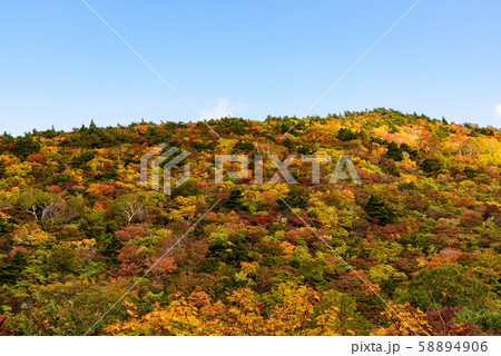 栗駒山の紅葉 58894906