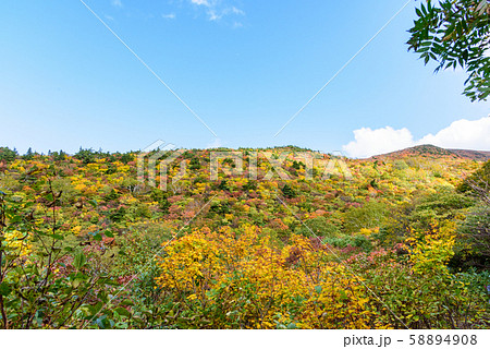栗駒山の紅葉 栗駒山の紅葉 58894908